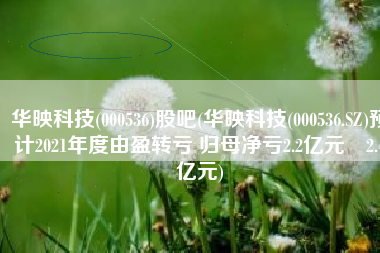 华映科技(000536)股吧(华映科技(000536.SZ)预计2021年度由盈转亏 归母净亏2.2亿元–2.4亿元)