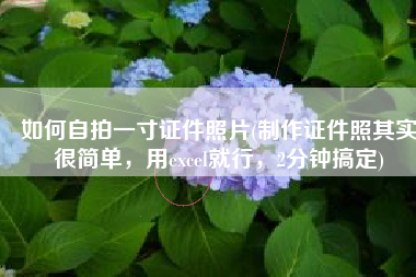 如何自拍一寸证件照片(制作证件照其实很简单，用excel就行，2分钟搞定)