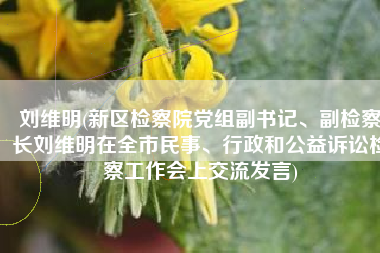 刘维明(新区检察院党组副书记、副检察长刘维明在全市民事、行政和公益诉讼检察工作会上交流发言)