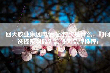 回天胶业集团电话(密封胶是什么，如何选择密封胶？装修网品牌推荐)