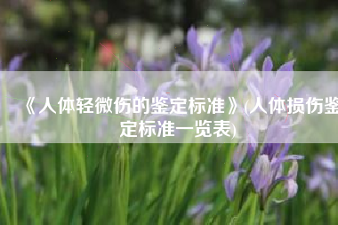 《人体轻微伤的鉴定标准》(人体损伤鉴定标准一览表)