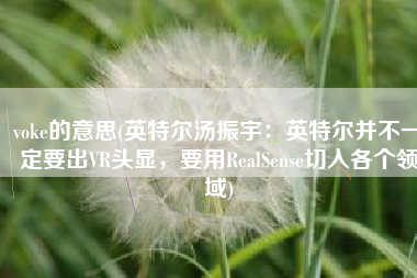voke的意思(英特尔汤振宇：英特尔并不一定要出VR头显，要用RealSense切入各个领域)