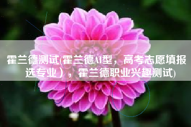 霍兰德测试(霍兰德AI型，高考志愿填报（选专业），霍兰德职业兴趣测试)