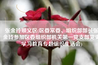 张金玲顺义区(区委常委、组织部部长张金玲参加区委组织部机关第一党支部党史学习教育专题组织生活会)