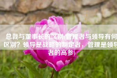 总裁与董事长的区别(管理者与领导有何区别？领导是战略的制定者，管理是领导者的高参)