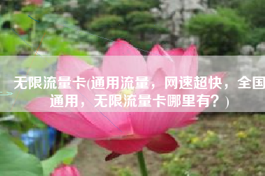 无限流量卡(通用流量，网速超快，全国通用，无限流量卡哪里有？)