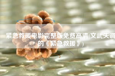 紧急救援电影完整版免费高清(文武失调的《紧急救援》)