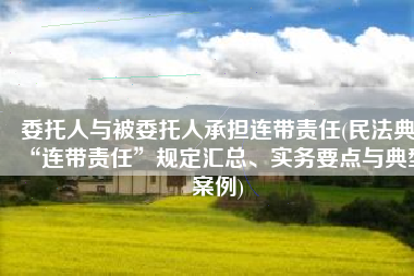 委托人与被委托人承担连带责任(民法典“连带责任”规定汇总、实务要点与典型案例)