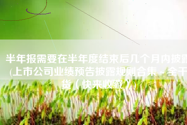 半年报需要在半年度结束后几个月内披露(上市公司业绩预告披露规则合集～全干货（快来收藏）)