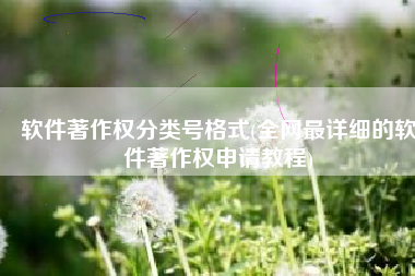 软件著作权分类号格式(全网最详细的软件著作权申请教程)