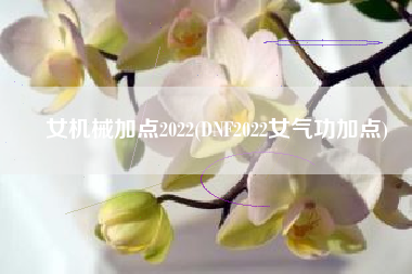 女机械加点2022(DNF2022女气功加点)