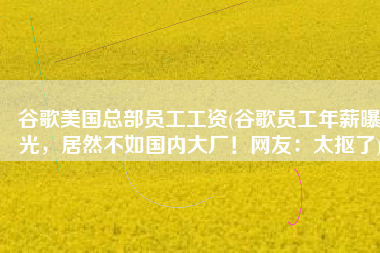 谷歌美国总部员工工资(谷歌员工年薪曝光，居然不如国内大厂！网友：太抠了)