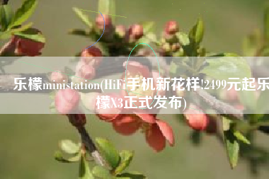 乐檬ministation(HiFi手机新花样!2499元起乐檬X3正式发布)