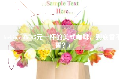 luckin coffee(5元一杯的美式咖啡，到底香不香？)