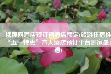 携程网酒店预订网酒店预定(旅游住宿推“五一特惠”六大酒店预订平台哪家最靠谱)