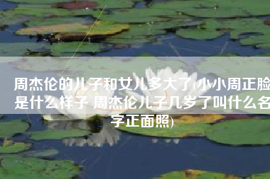 周杰伦的儿子和女儿多大了(小小周正脸是什么样子 周杰伦儿子几岁了叫什么名字正面照)