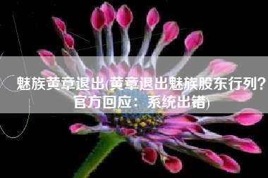 魅族黄章退出(黄章退出魅族股东行列？官方回应：系统出错)