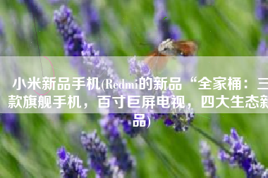 小米新品手机(Redmi的新品“全家桶：三款旗舰手机，百寸巨屏电视，四大生态新品)