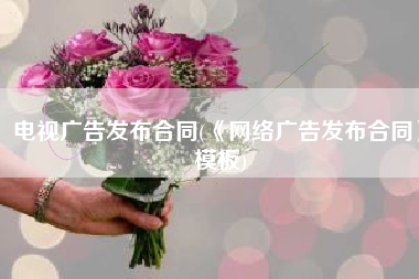 电视广告发布合同(《网络广告发布合同》模板)