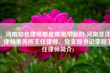 河南知名律师都是哪里毕业的(河南亚洋律师事务所主任律师、党支部书记李甜主任律师简介)