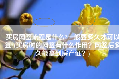 买房网签流程是什么?一般要多久才可以签?(买房时的网签有什么作用？网签后多久能拿到房产证？)
