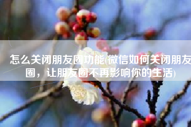 怎么关闭朋友圈功能(微信如何关闭朋友圈，让朋友圈不再影响你的生活)