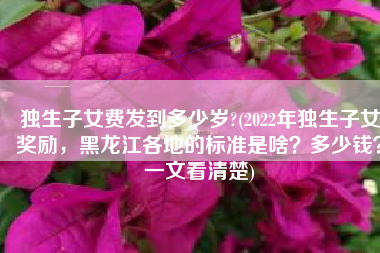 独生子女费发到多少岁?(2022年独生子女奖励，黑龙江各地的标准是啥？多少钱？一文看清楚)
