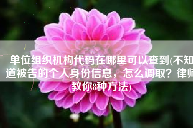 单位组织机构代码在哪里可以查到(不知道被告的个人身份信息，怎么调取？律师教你8种方法)
