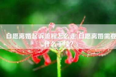 自愿离婚起诉流程怎么走(自愿离婚需要什么手续？)