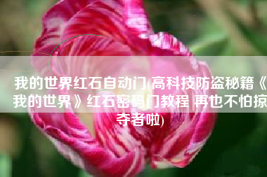 我的世界红石自动门(高科技防盗秘籍《我的世界》红石密码门教程 再也不怕掠夺者啦)