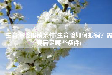 生育保险报销条件(生育险如何报销？需要满足哪些条件)