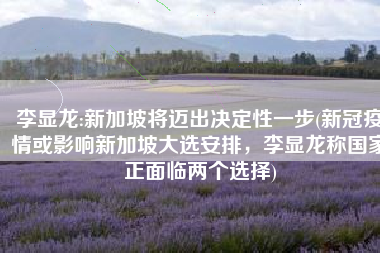 李显龙:新加坡将迈出决定性一步(新冠疫情或影响新加坡大选安排，李显龙称国家正面临两个选择)