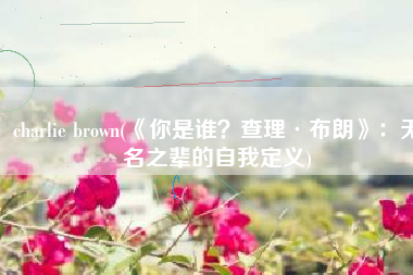 charlie brown(《你是谁？查理·布朗》：无名之辈的自我定义)