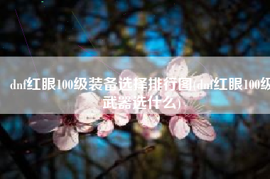 dnf红眼100级装备选择排行图(dnf红眼100级武器选什么)