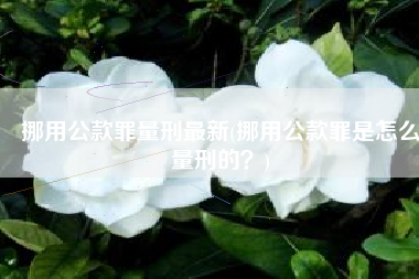 挪用公款罪量刑最新(挪用公款罪是怎么量刑的？)