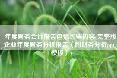 年度财务会计报告包括哪些内容(完整版！企业年度财务分析报告（附财务分析ppt+模板）)
