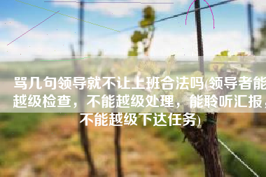 骂几句领导就不让上班合法吗(领导者能越级检查，不能越级处理，能聆听汇报，不能越级下达任务)