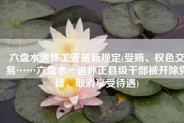 六盘水退休工资最新规定(受贿、权色交易……六盘水一退休正县级干部被开除党籍，取消享受待遇)