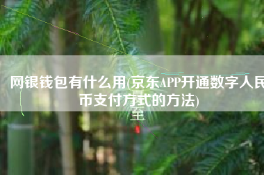 网银钱包有什么用(京东APP开通数字人民币支付方式的方法)