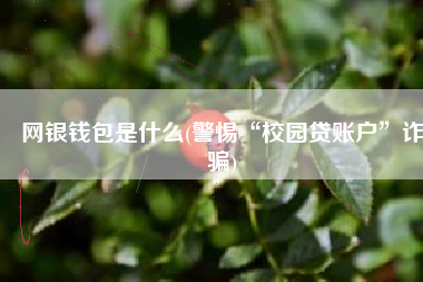网银钱包是什么(警惕“校园贷账户”诈骗)