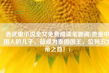 吞武里小说全文免费阅读笔趣阁(他是中国人的儿子，却成为泰国国王，位列五大帝之首！)