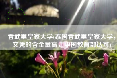 吞武里皇家大学(泰国吞武里皇家大学，文凭的含金量高，中国教育部认可)