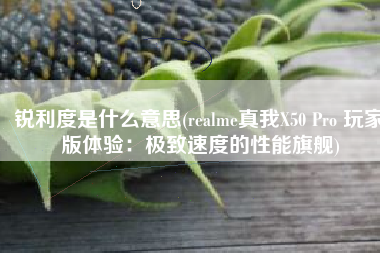 锐利度是什么意思(realme真我X50 Pro 玩家版体验：极致速度的性能旗舰)