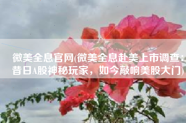 微美全息官网(微美全息赴美上市调查：昔日A股神秘玩家，如今敲响美股大门)