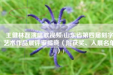 王健林磊演唱歌视频(山东省第四届刻字艺术作品展评审揭晓（附获奖、入展名单）)