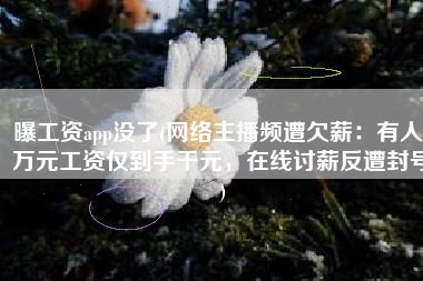曝工资app没了(网络主播频遭欠薪：有人4万元工资仅到手千元，在线讨薪反遭封号)