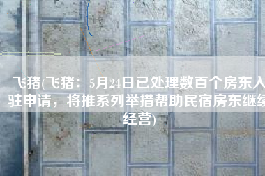 飞猪(飞猪：5月24日已处理数百个房东入驻申请，将推系列举措帮助民宿房东继续经营)