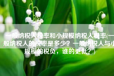 一般纳税人税率和小规模纳税人税率(一般纳税人的税率是多少？一般纳税人与小规模的税负，谁的更低？)