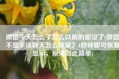 微信今天怎么了怎么以前的都没了(微信不显示该聊天怎么恢复？1秒钟即可恢复显示，原来如此简单)