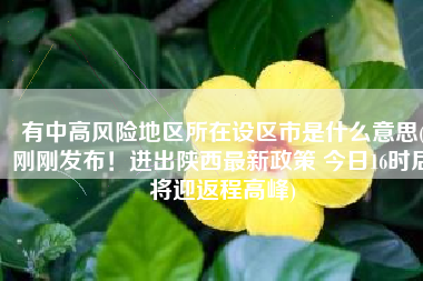 有中高风险地区所在设区市是什么意思(刚刚发布！进出陕西最新政策 今日16时后将迎返程高峰)